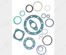 Elaflex seals